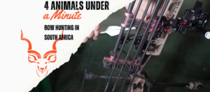 4 Animals Under a Minute - Bow Hunting in South Africa - Website