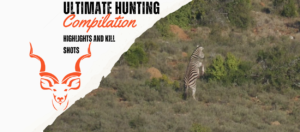 Ultimate Hunting Compilation - Highlights and Kill Shots - Website