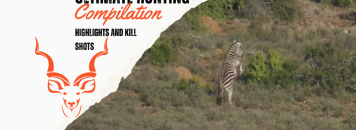 Large Caliber Rifles: Powerhouses for Dangerous Game