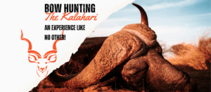 Extreme Kalahari Bow Hunt- Giraffe at 5 Feet - Website