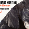 Elephant Hunting in Botswana: Adventure into NG9