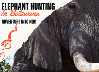 Elephant Hunting in Botswana: Adventure into NG9